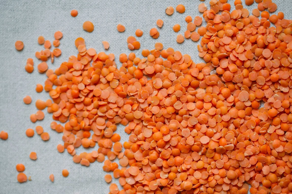 Red Lentil Gazpacho - Golubka Kitchen