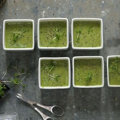Raw Greenylicious Herb Soup and BBQ Grissini by Earthsprout