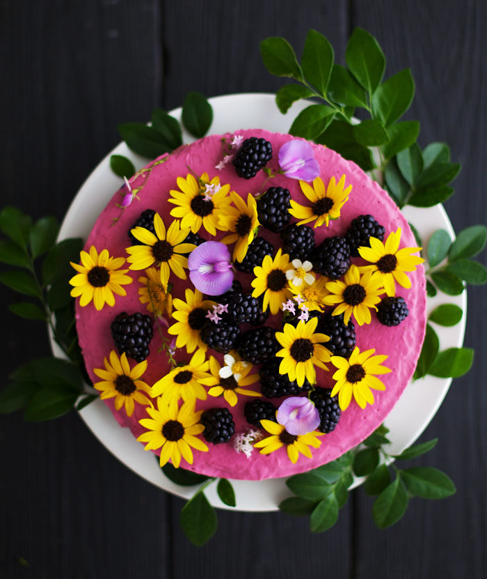 Frozen Berry Cheesecake from Vegetarian Everyday