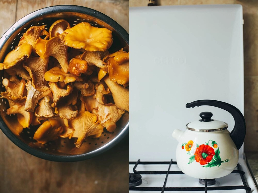 chantrelles