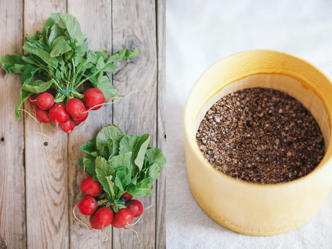 radishes salt