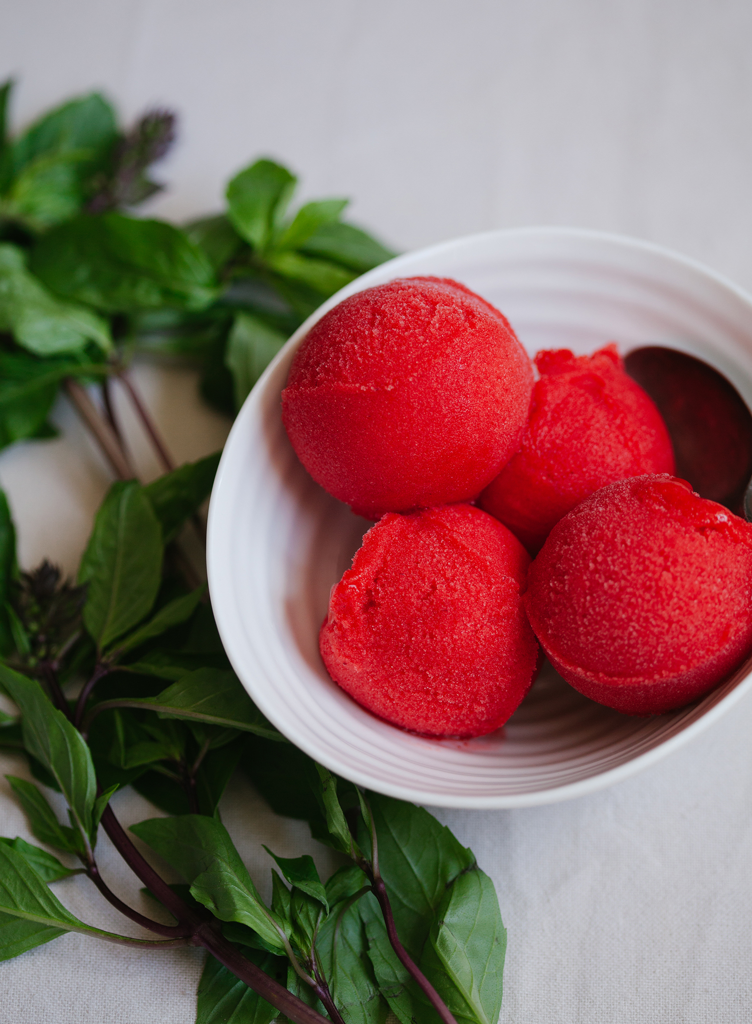 Strawberry Thai Basil Sorbet | Golubka Kitchen