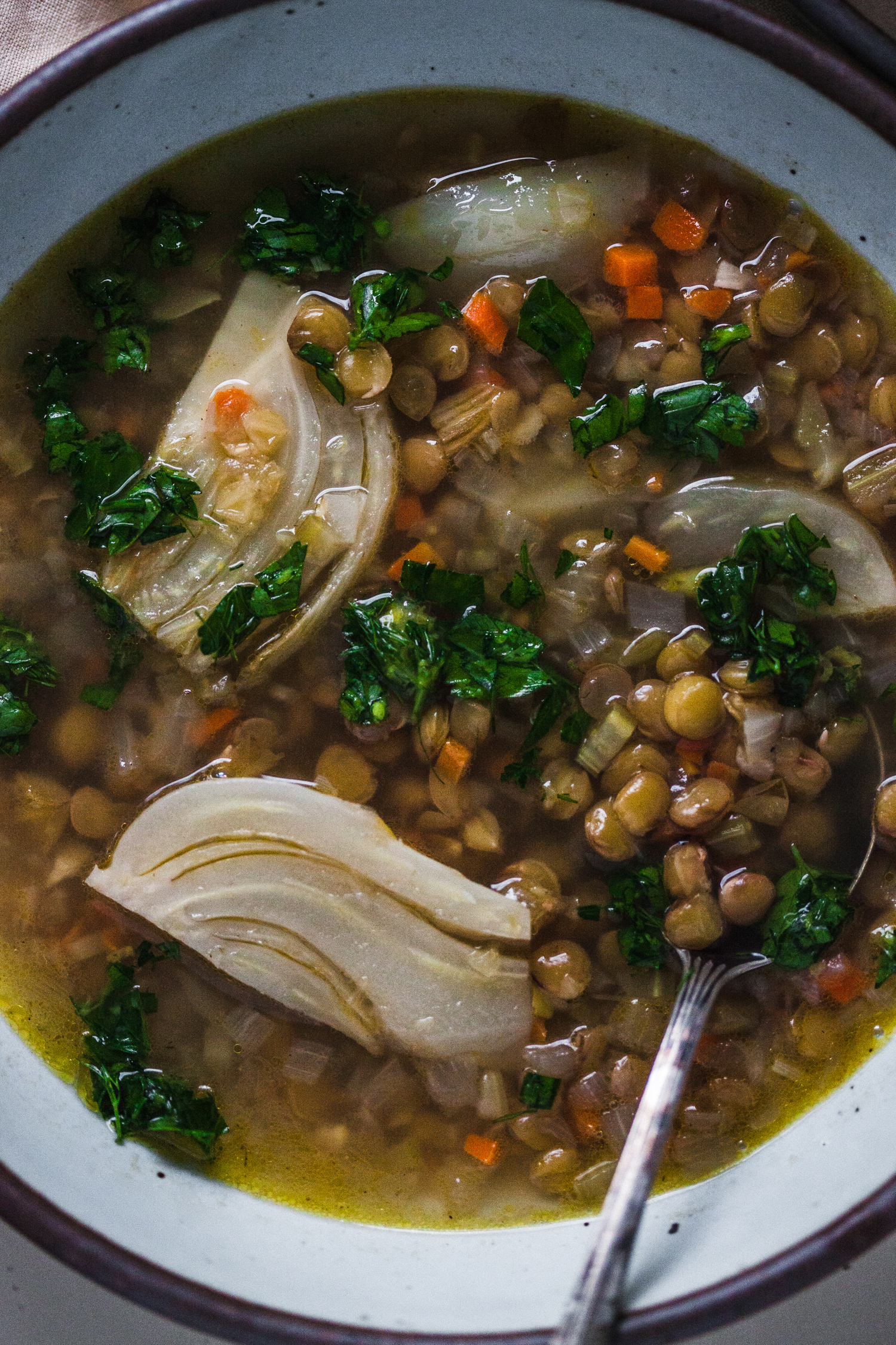 Fennel and Lentil Soup with Gremolata - Golubka Kitchen